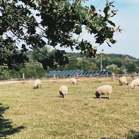 Siedlisko Zagajnik *