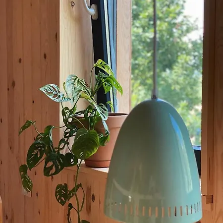 Siedlisko Zagajnik 펜션 *