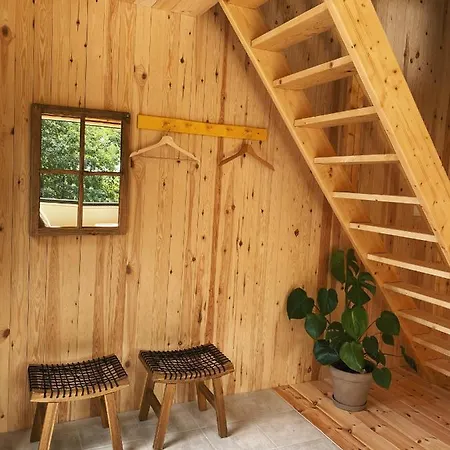 Siedlisko Zagajnik *