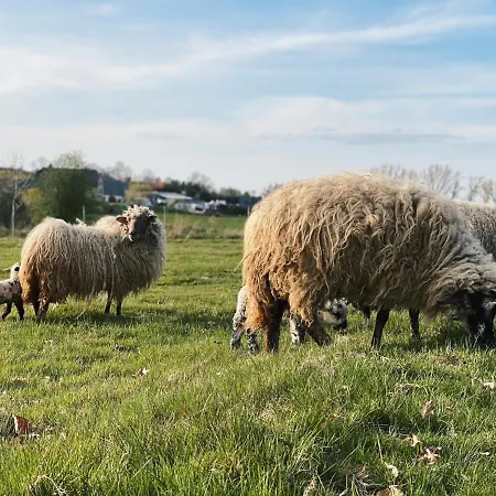 Siedlisko Zagajnik Giebultow (Lwowek Slaski)