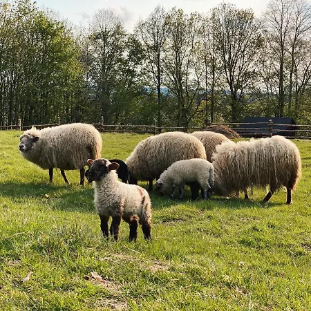 Siedlisko Zagajnik 펜션
