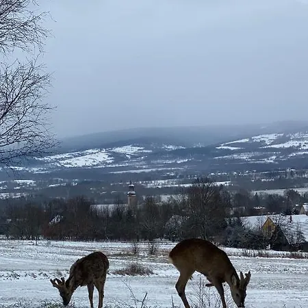 펜션 Siedlisko Zagajnik